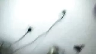 Dewi سایت عکس سکسی ایرانی - اندونزیایی,