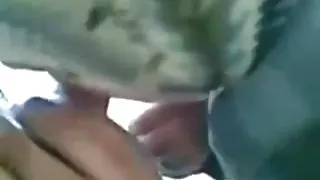 کوس وکون حجاب,