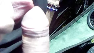 داستان های سکسی شهوانی پاندورا و دینو, از نزدیک portmeirion