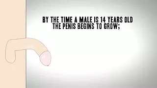 کوچک فىلم سکس فیلم مستند در آلت تناسلی آلت تناسلی مرد بزرگ