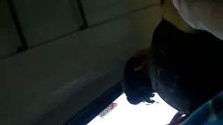 فلش کس لخت اتوبوس 2