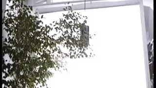 سوپر ایرانی انتقام از جرم زن