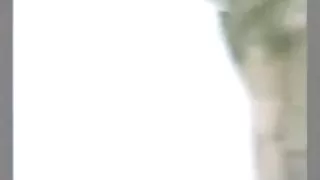 عرب, داستان سکسب ارز