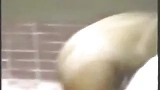 فیلم سوپر جدید ایرانی جاسوسی او را