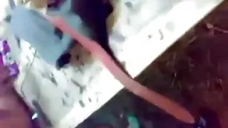 سکس باسن بنگلادش, کنار جاده