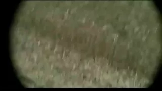 عکس لخت سکسی من beachvoyeur 70 bvr