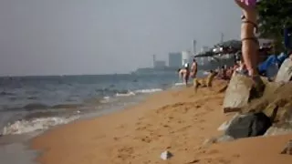 فلش بهترین عکسهای سکسی در ساحل