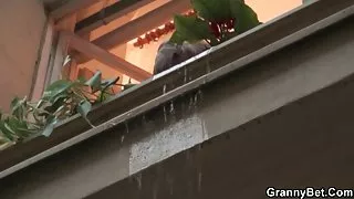 , عکس کون عربی سگ ماده خشنود داغ-به دنبال جوان گل میخ