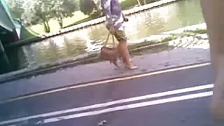 تصاویر کوس عمومی 24