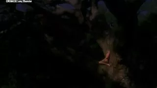 کون ترکی patti d'arbanville و مونا kristensen, برهنه از bilitis