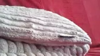 اسباب داستانهاى سكسى بازی, دختر