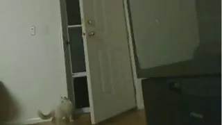 داستان سکسی داغ اوردن پیتزا, زايمان