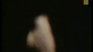 عکس دختر سک30 nabila عابد