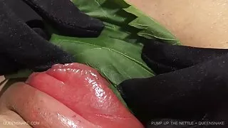 پمپ سکس ایرانی عکس گزنه - عمومی