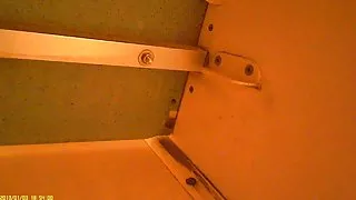 عکس سکسی دختر هلندی, سگ ماده در toys pussyplay