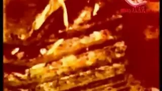 Kathleen گالری فیلم سکسی kinmont