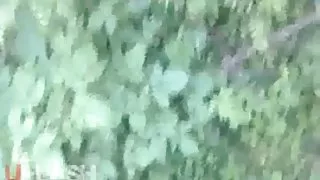 سکسهای ایرانی تقدیر برای گی در جنگل