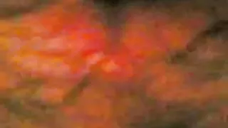 عرب کس و کون ایرانی