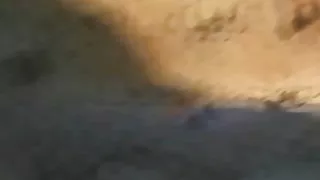 در عکس دختر ایرانی سکسی ساحل