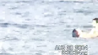 سکس جدیدترین سکس ایرانی در ساحل