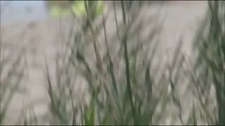 سکس ایرانی وخارجی exhib به, و او مانند آن را hq