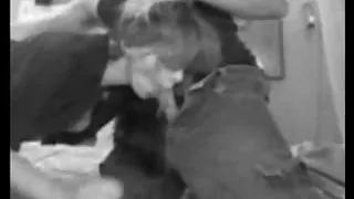 سکس های جدید jenny34, wifesharing