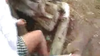 داستانهای لز در