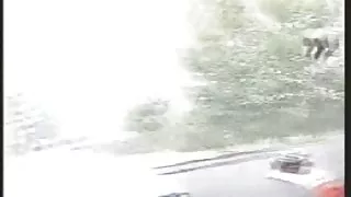 انگلیسی سکس کس گروه 1 کو